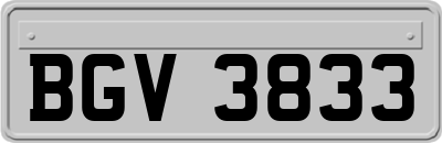 BGV3833