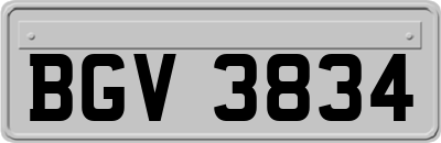 BGV3834