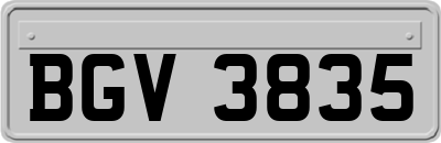 BGV3835