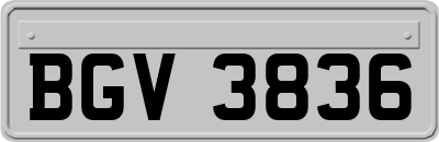 BGV3836