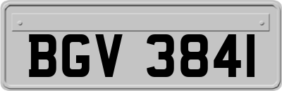 BGV3841
