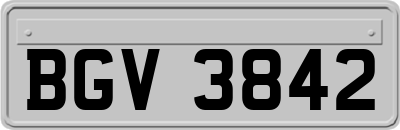 BGV3842