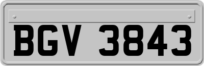 BGV3843
