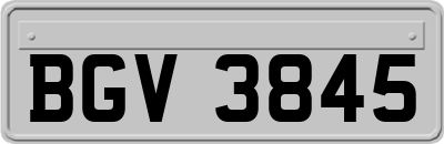 BGV3845