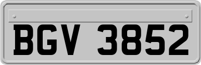 BGV3852