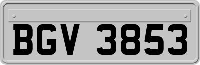 BGV3853