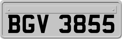 BGV3855