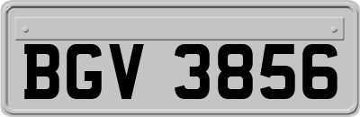 BGV3856