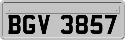 BGV3857