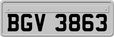 BGV3863