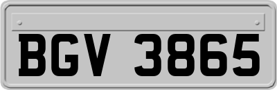 BGV3865