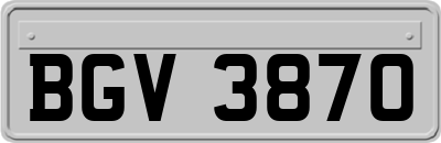 BGV3870