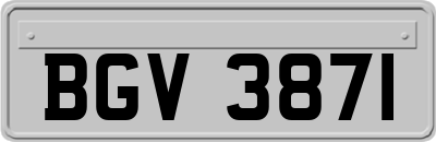 BGV3871