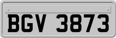 BGV3873
