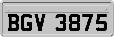 BGV3875