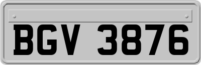 BGV3876
