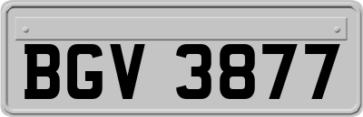 BGV3877