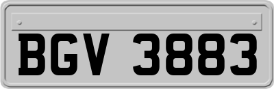 BGV3883