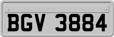 BGV3884