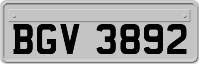 BGV3892