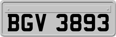 BGV3893