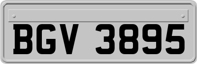 BGV3895