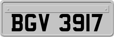 BGV3917