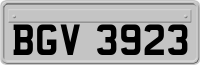 BGV3923