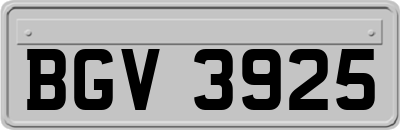 BGV3925
