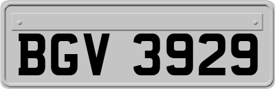 BGV3929
