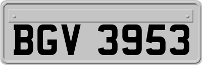 BGV3953
