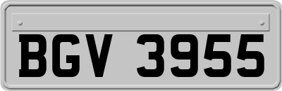 BGV3955