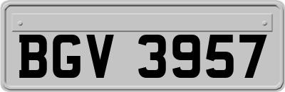 BGV3957