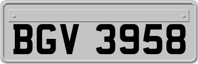 BGV3958