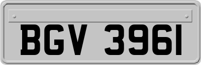 BGV3961