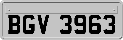 BGV3963