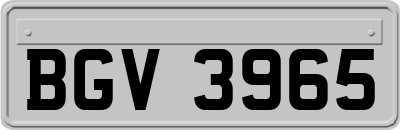 BGV3965