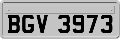 BGV3973