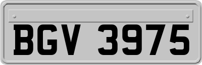 BGV3975