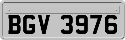 BGV3976