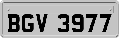 BGV3977