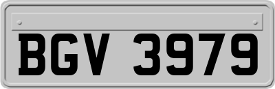 BGV3979