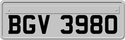 BGV3980