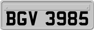 BGV3985