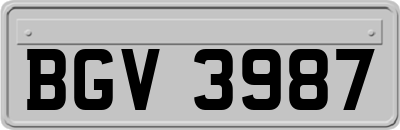 BGV3987