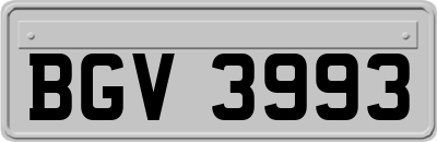 BGV3993