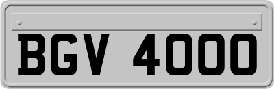BGV4000
