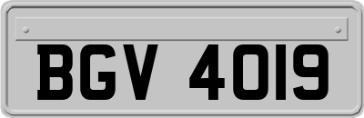 BGV4019
