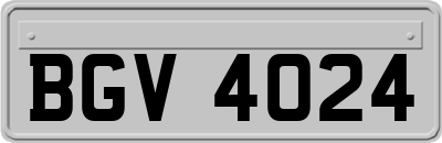 BGV4024