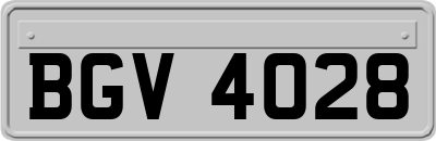 BGV4028